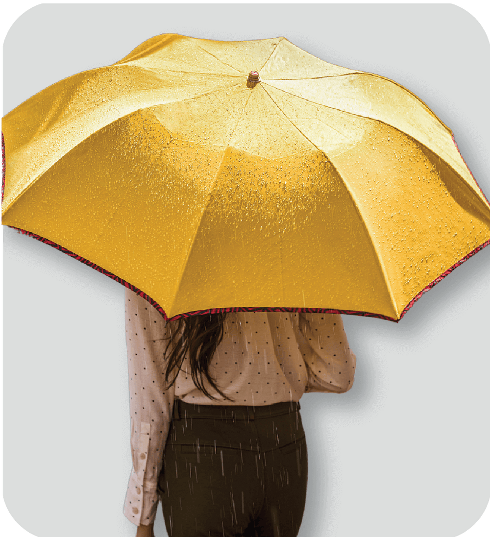 Umbrella