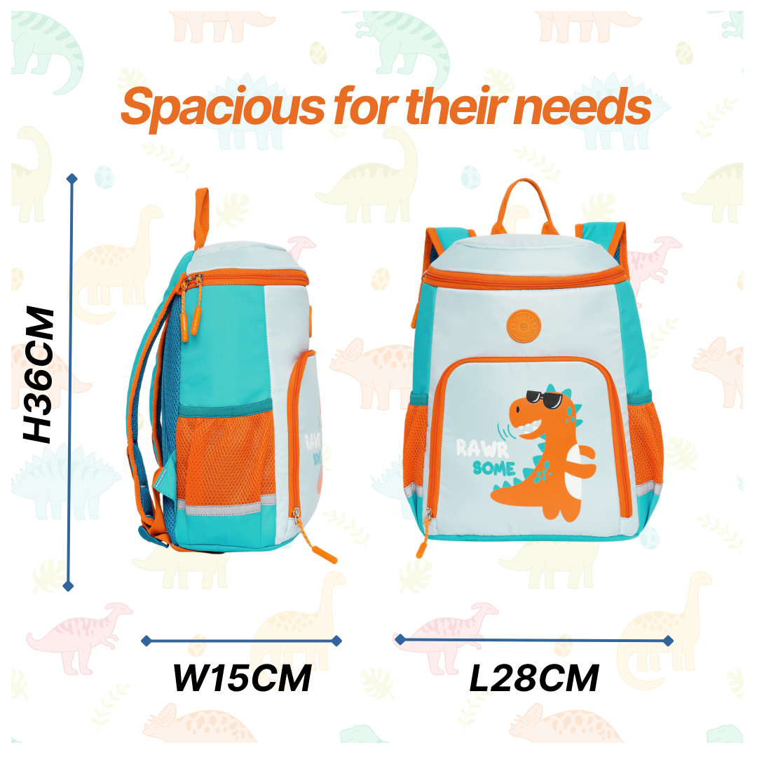 Apollo Backpack For School Kids