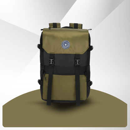 Olive 03